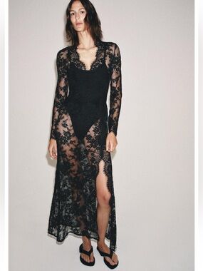 Zara Zw Collection Long Lace Dress is a black, semi-sheer garment